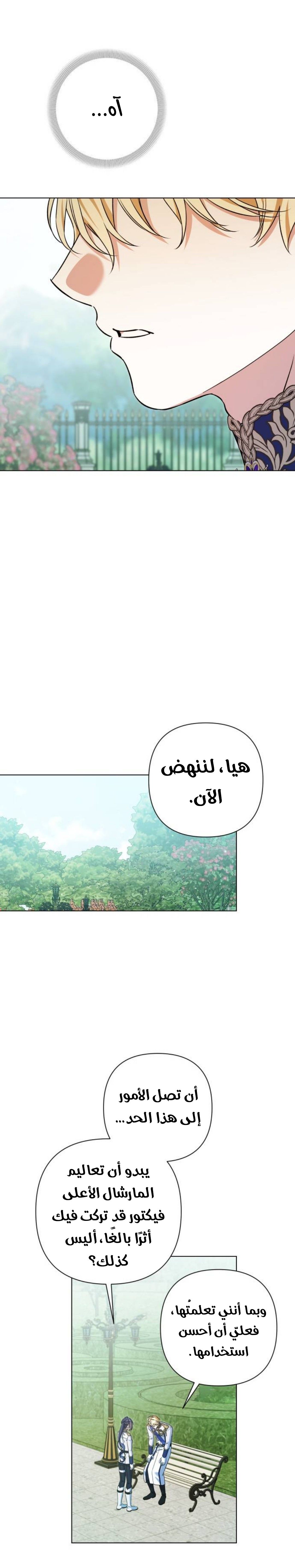 الصفحة 19