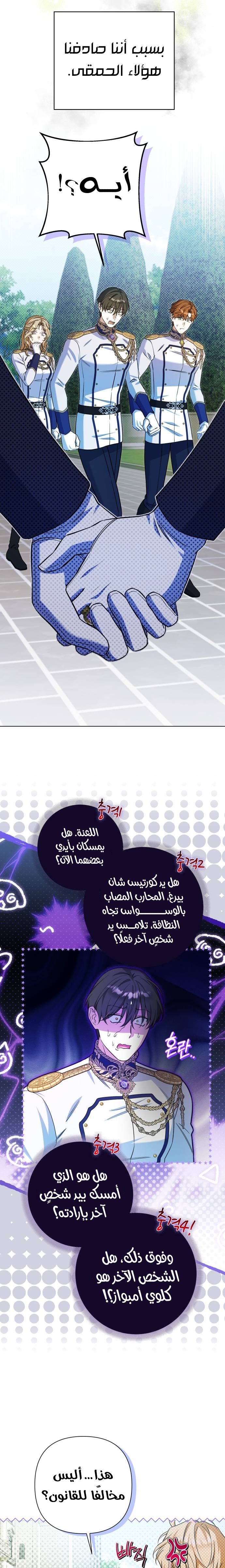 الصفحة 13