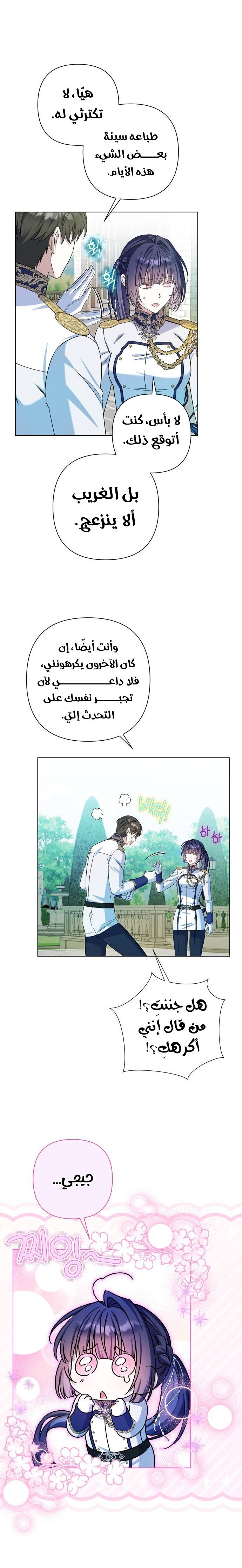 الصفحة 26