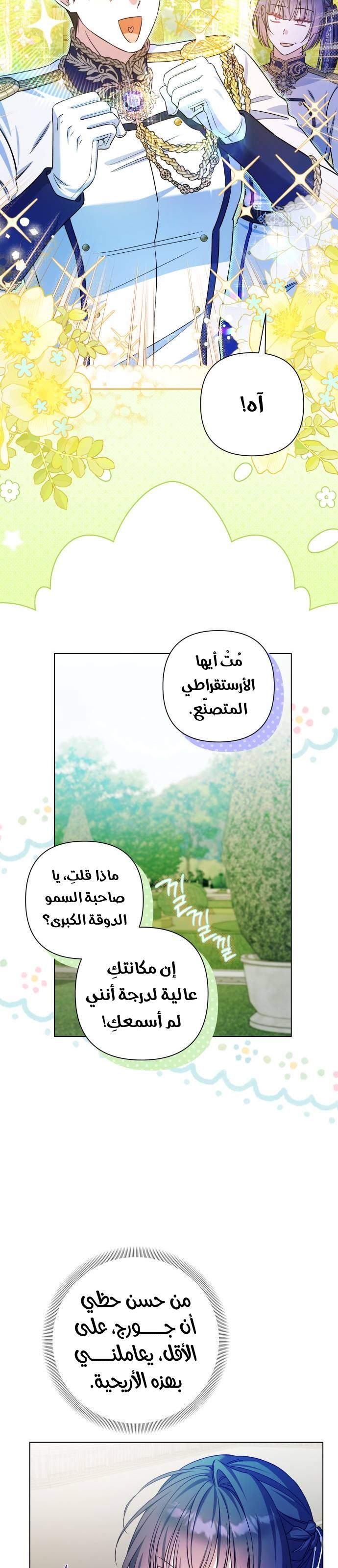 الصفحة 28