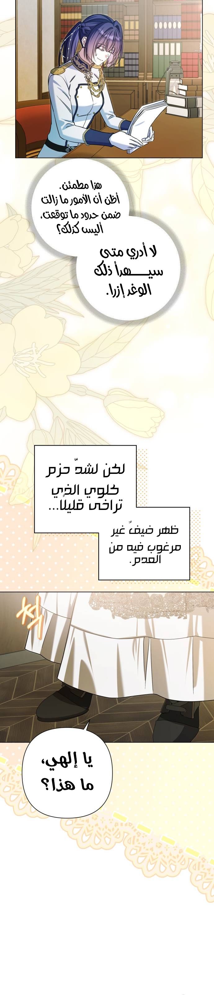 الصفحة 31