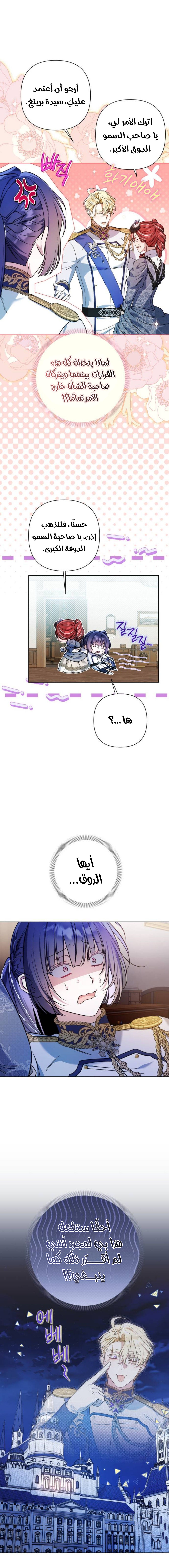 الصفحة 17