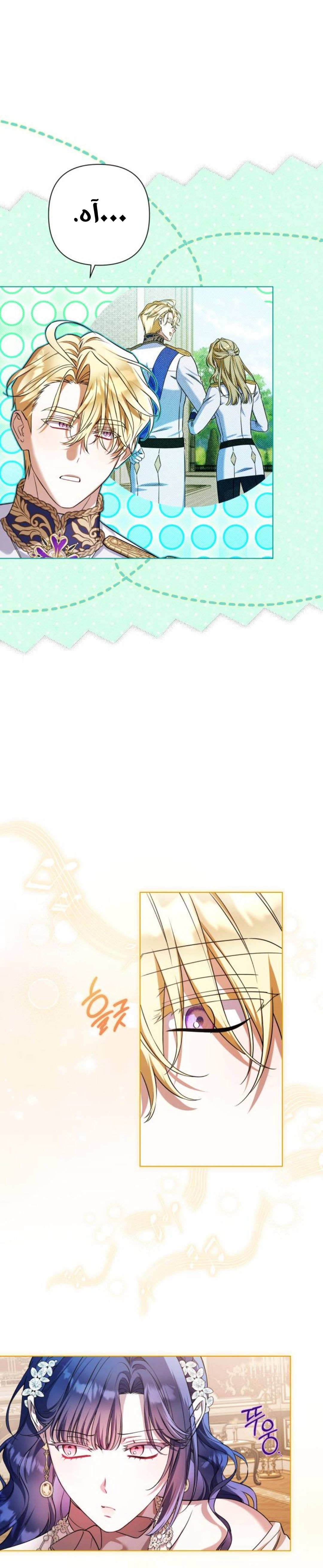 الصفحة 24