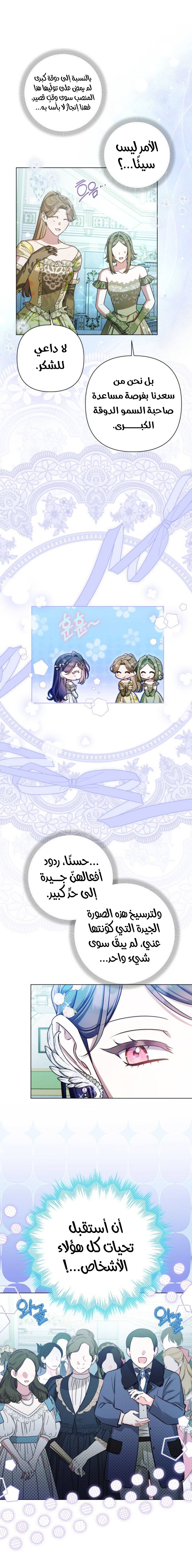 الصفحة 17