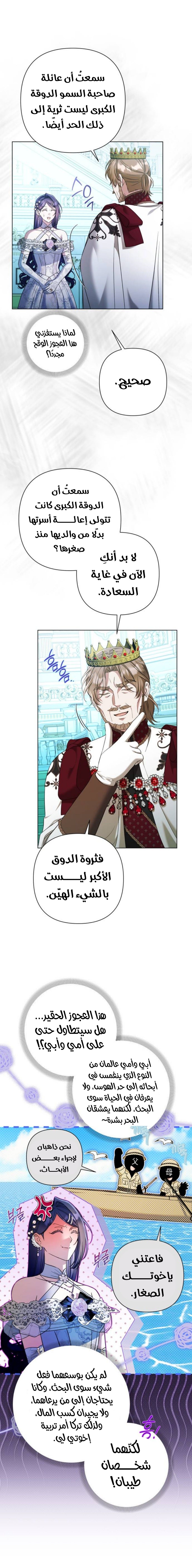 الصفحة 17