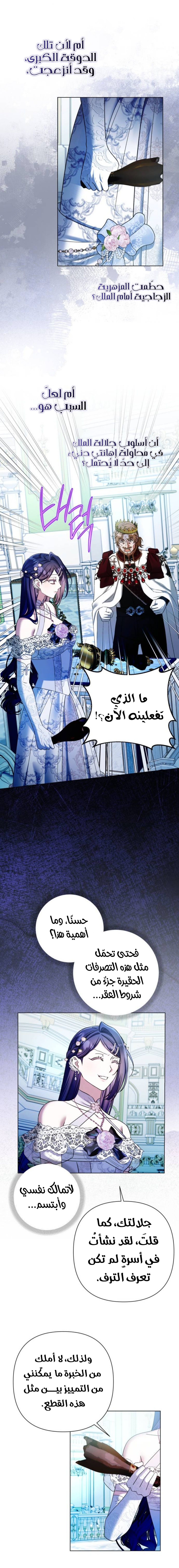 الصفحة 17