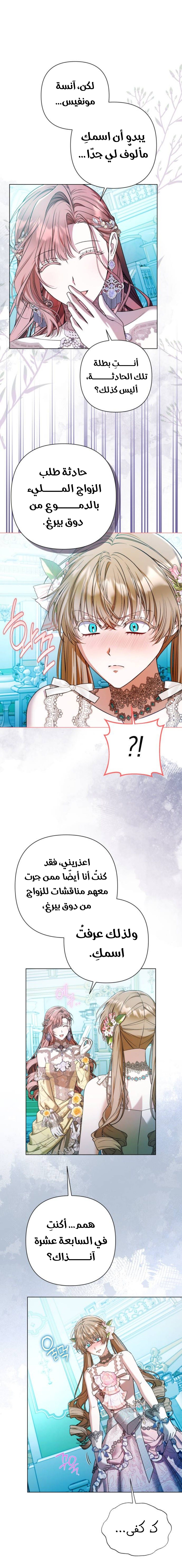 الصفحة 17