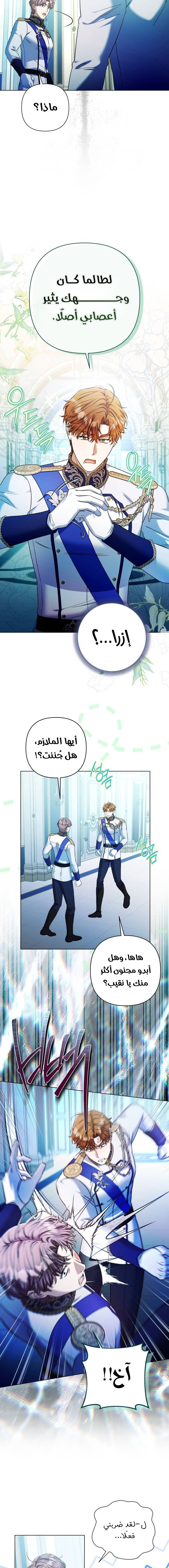 الصفحة 13