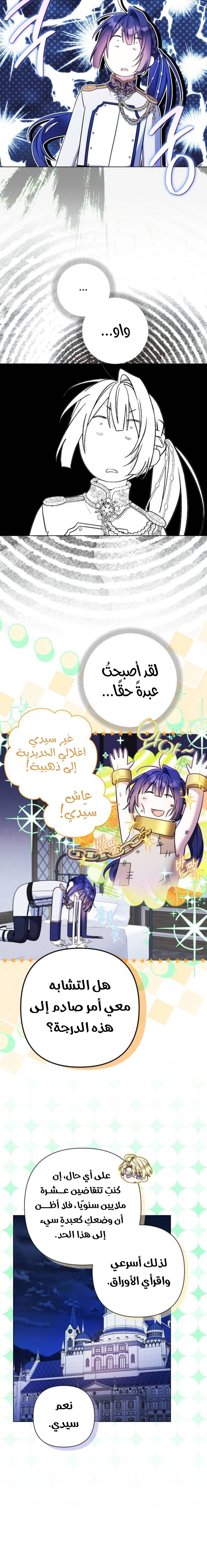 الصفحة 11