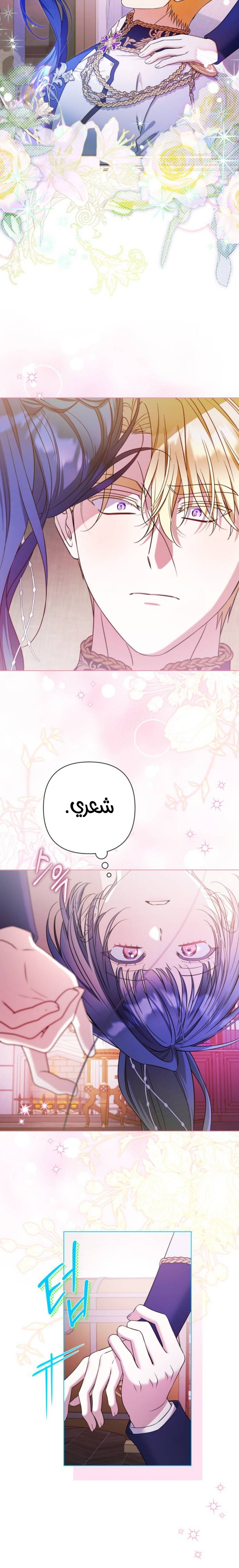 الصفحة 17