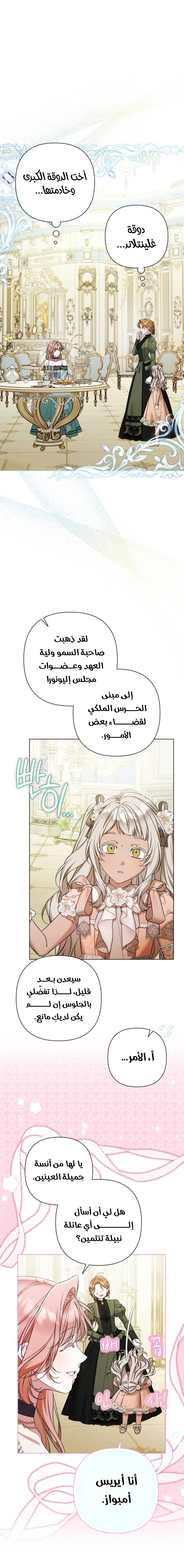 الصفحة 16