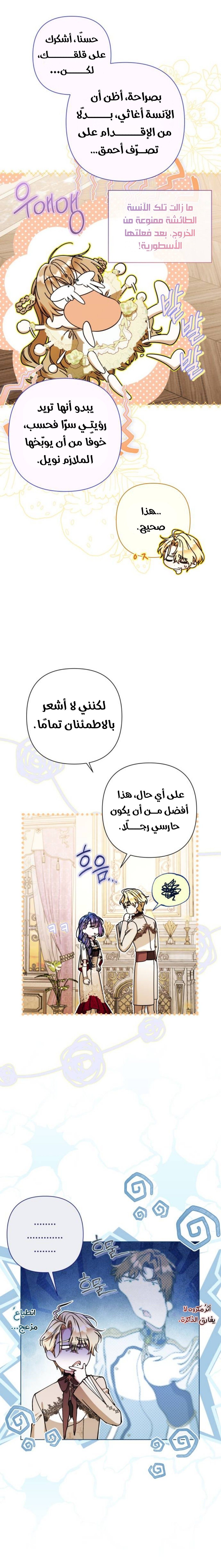 الصفحة 13