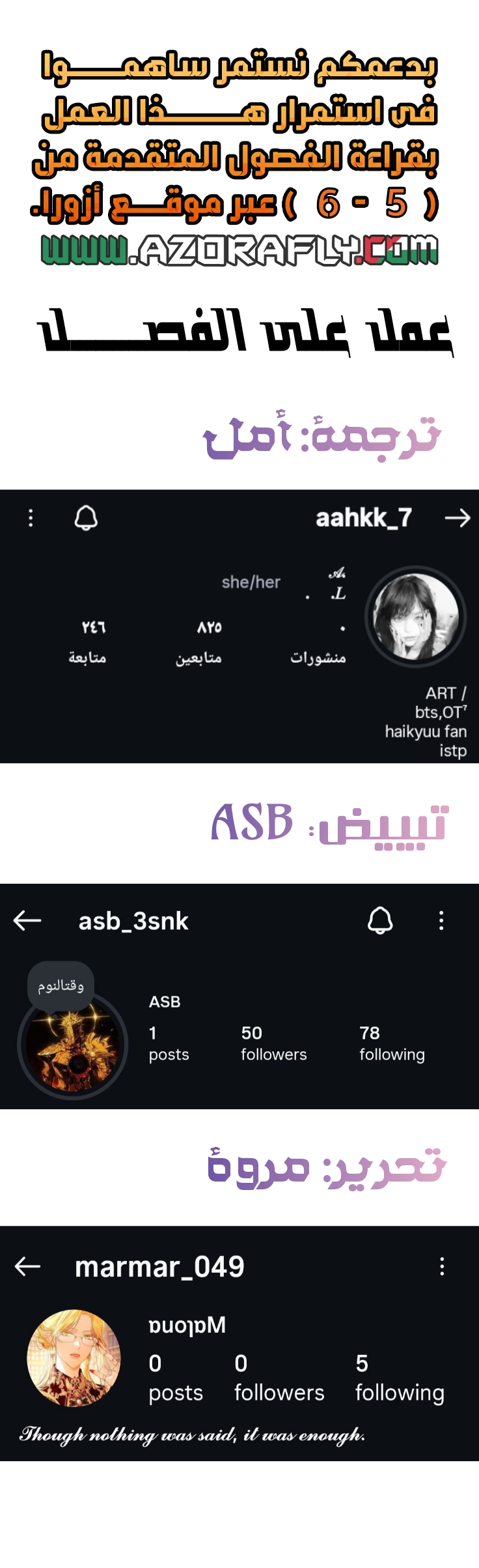الصفحة 17
