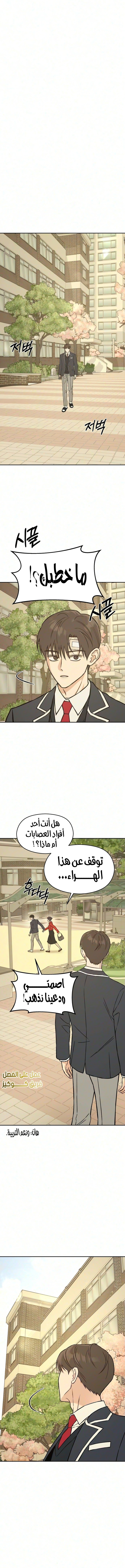 الصفحة 11