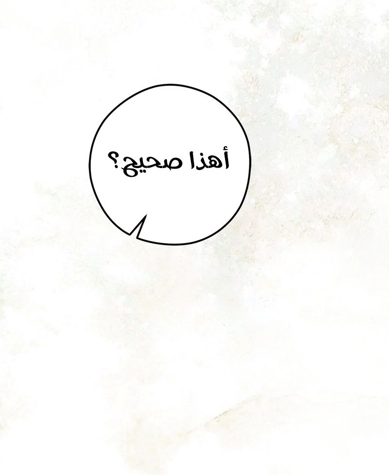 الصفحة 22