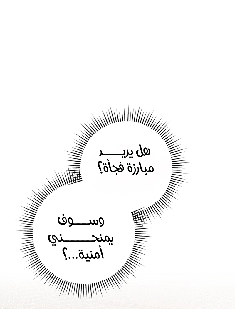 الصفحة 26