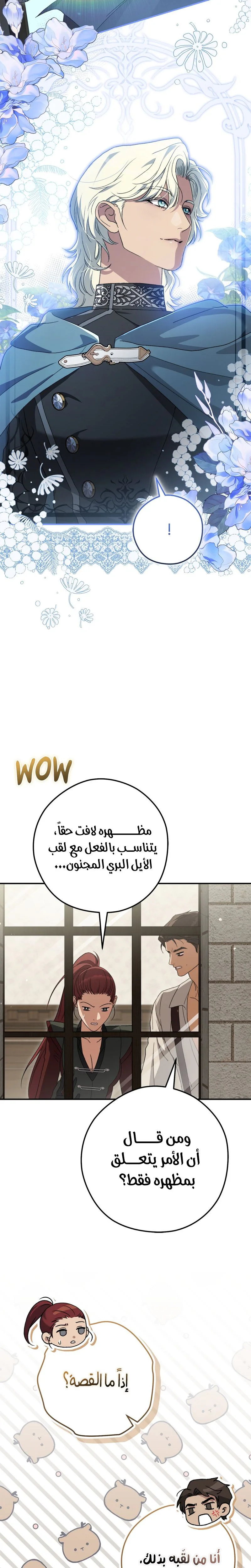 الصفحة 19
