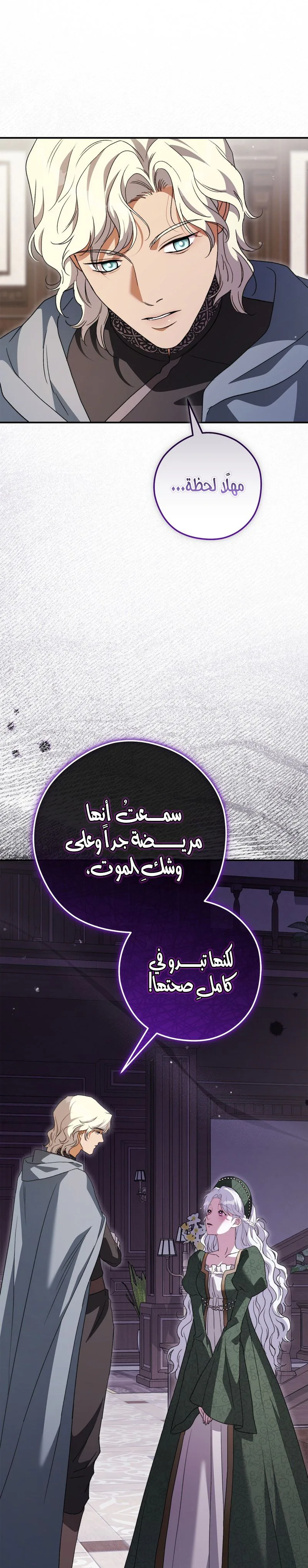 الصفحة 27