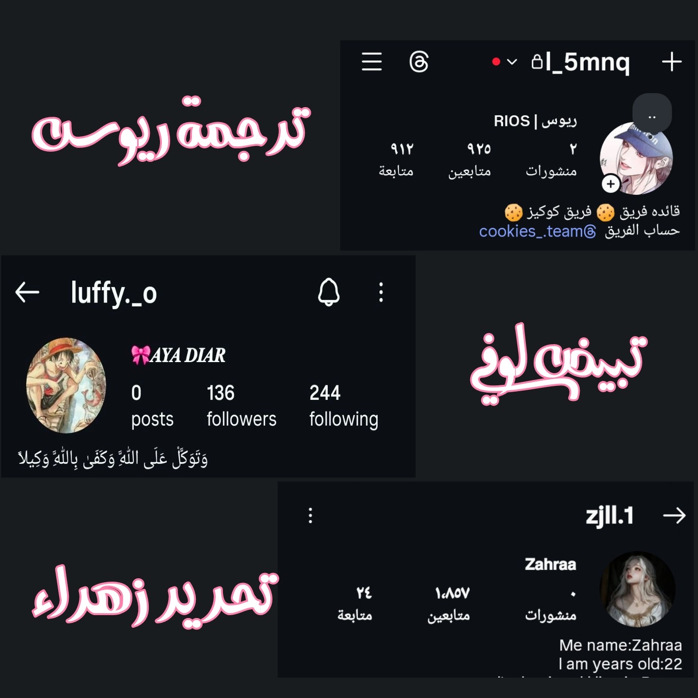 الصفحة 11