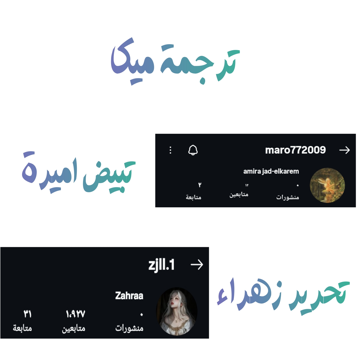 الصفحة 12