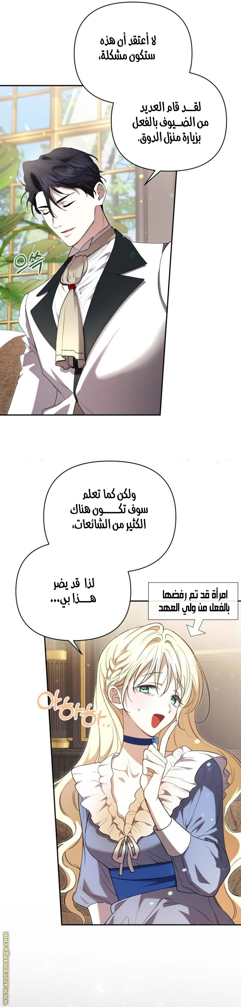 الصفحة 25