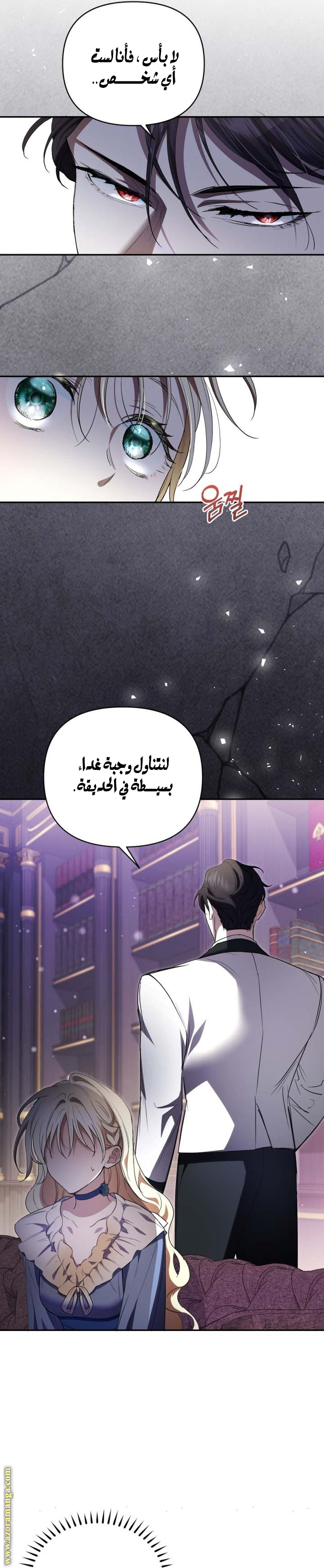 الصفحة 26
