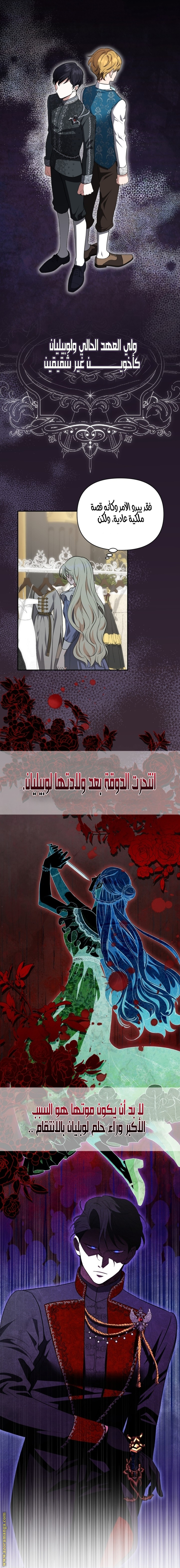 الصفحة 19