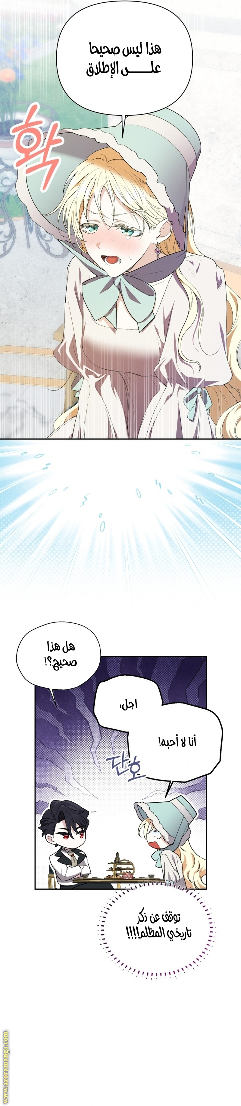 الصفحة 31
