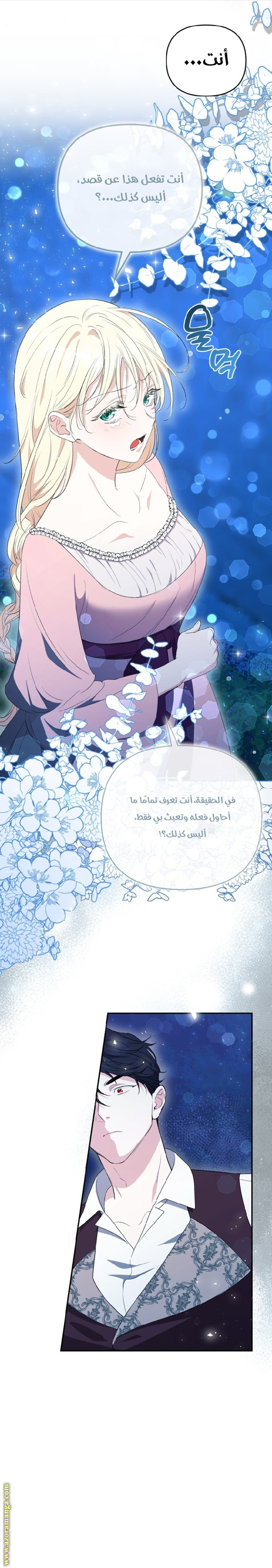 الصفحة 13