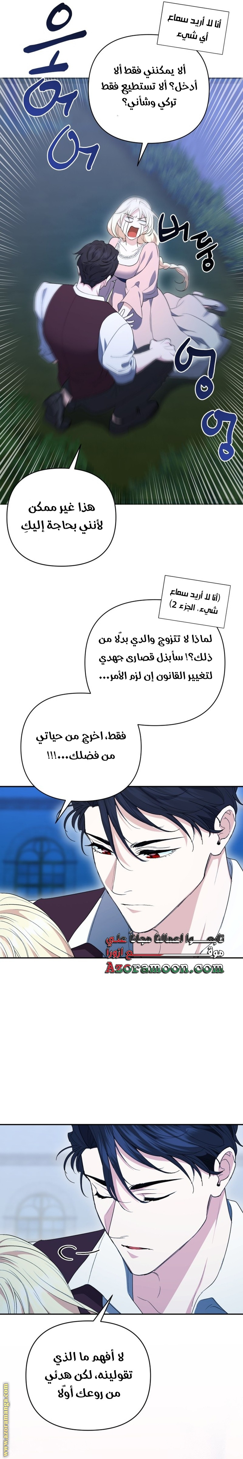 الصفحة 17
