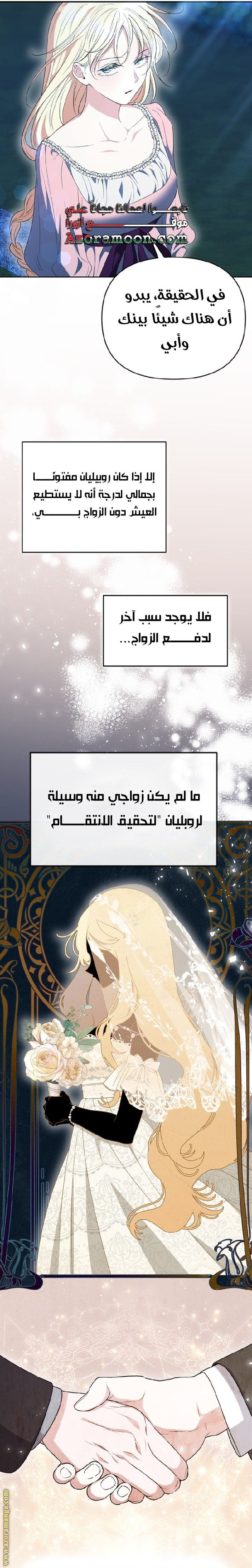 الصفحة 27