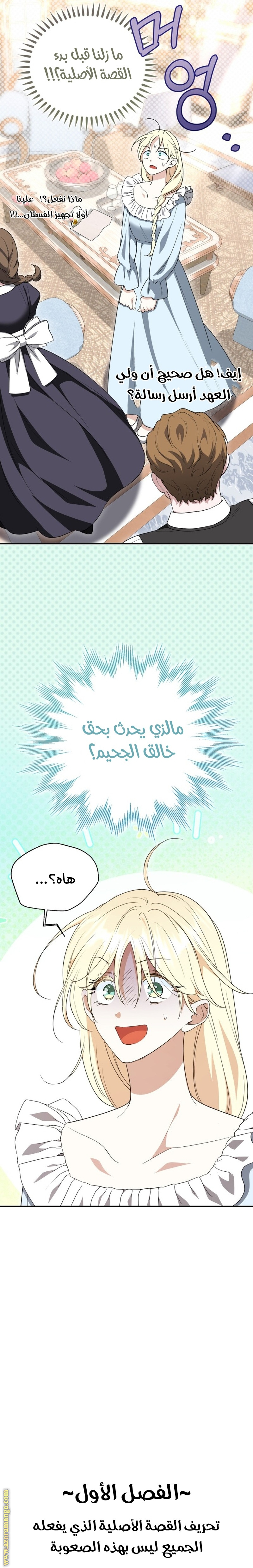 الصفحة 27