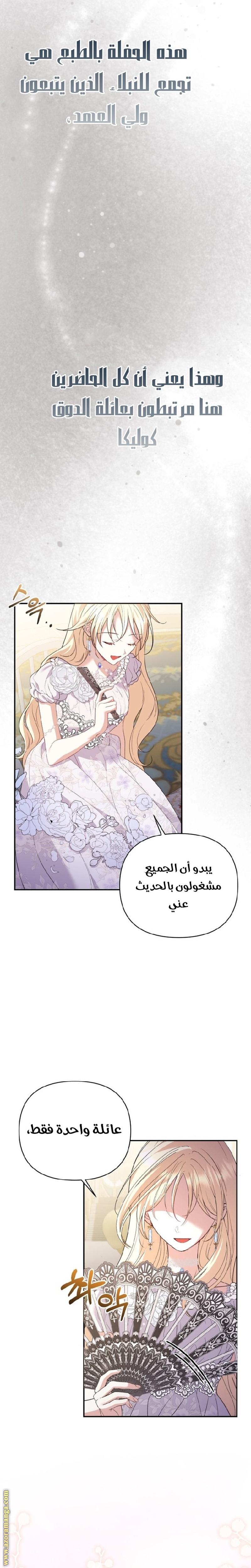 الصفحة 17