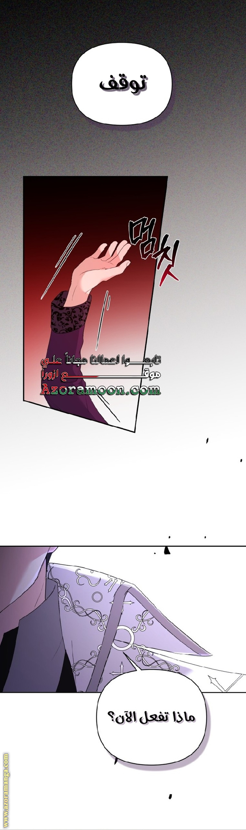 الصفحة 27