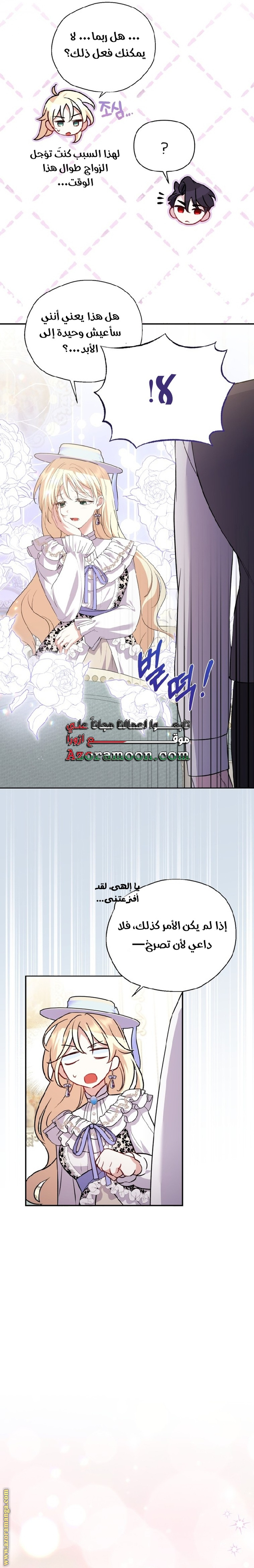 الصفحة 14