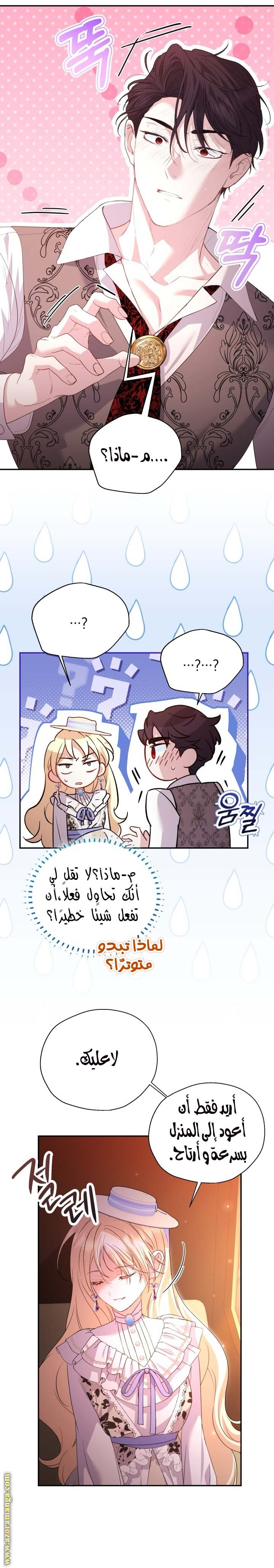 الصفحة 21