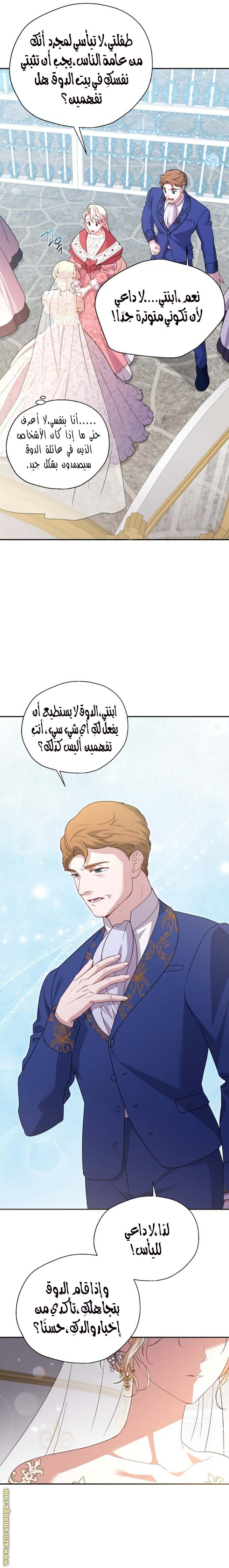 الصفحة 17