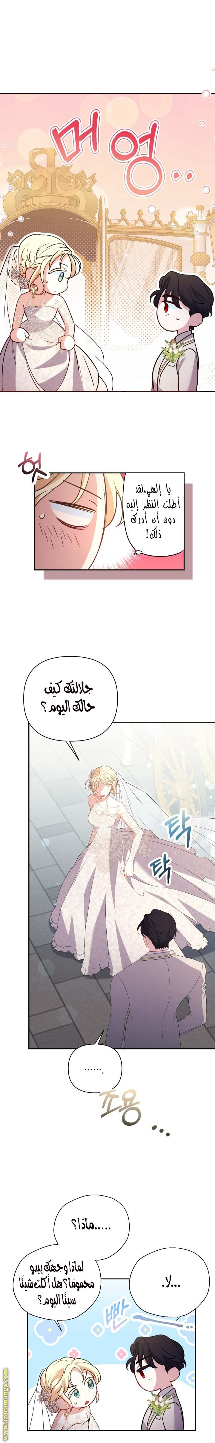 الصفحة 24