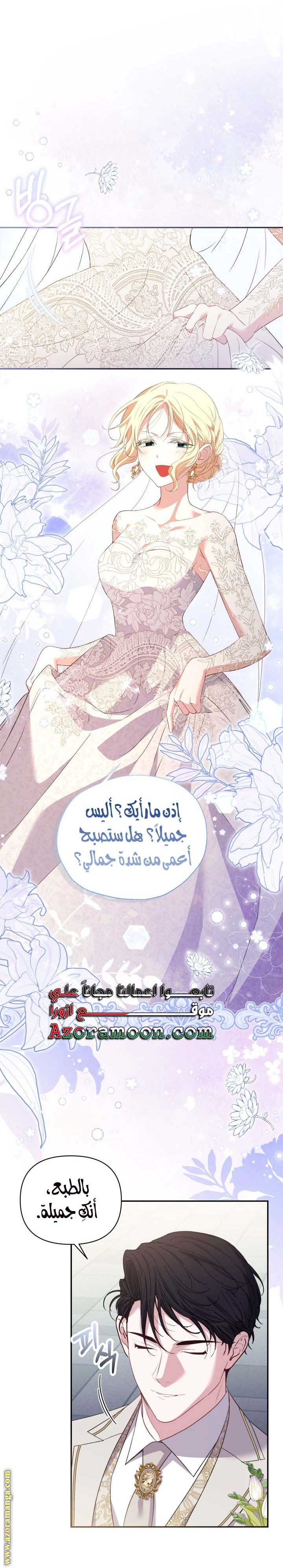 الصفحة 25