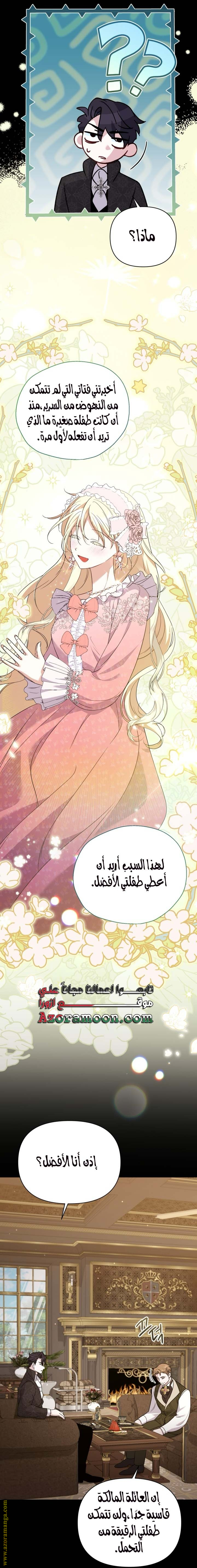 الصفحة 17