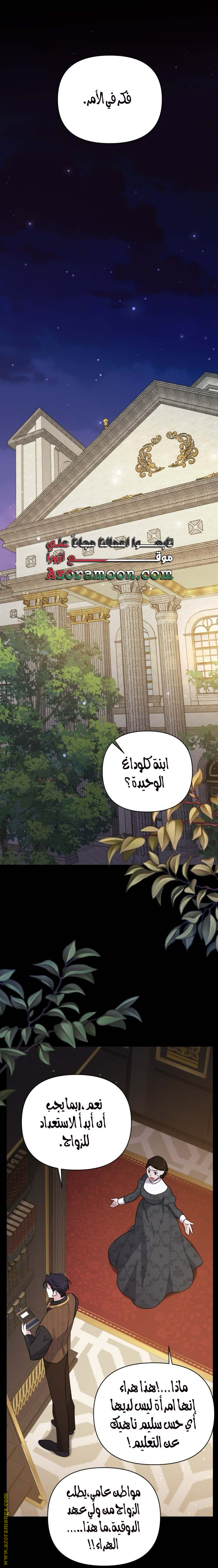 الصفحة 21