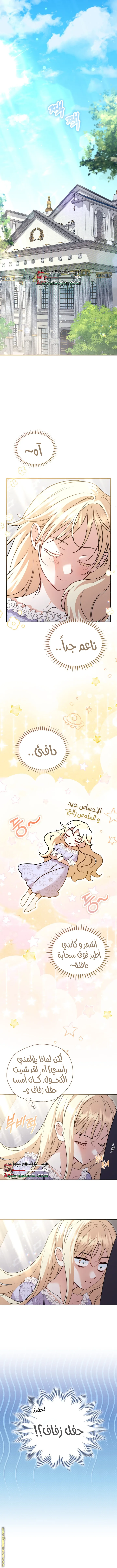 الصفحة 2
