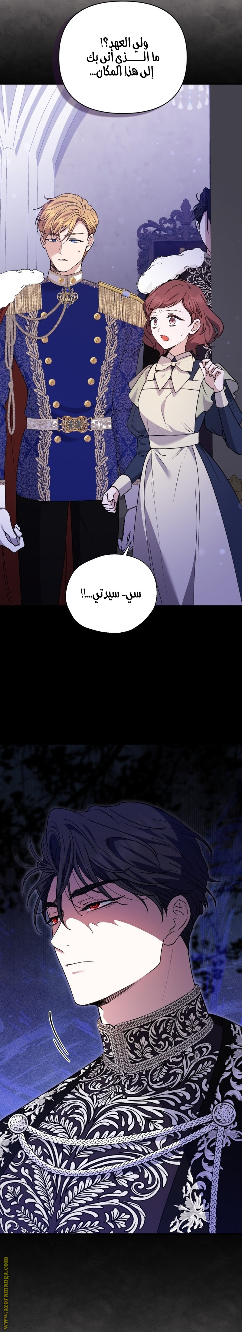 الصفحة 12