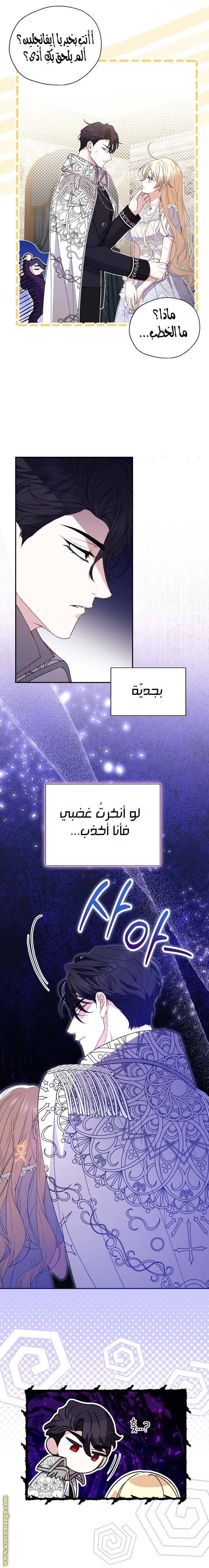 الصفحة 13