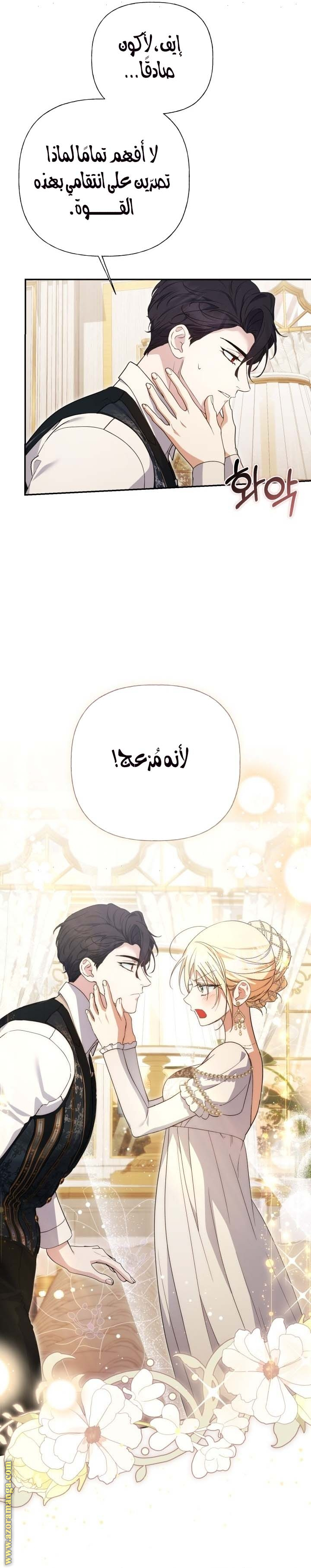الصفحة 19