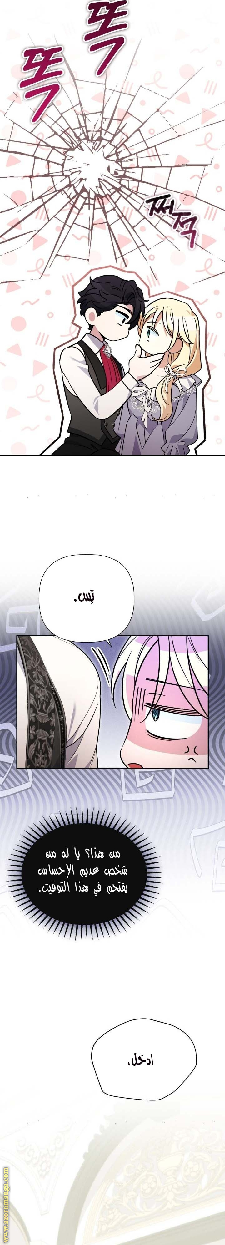الصفحة 17