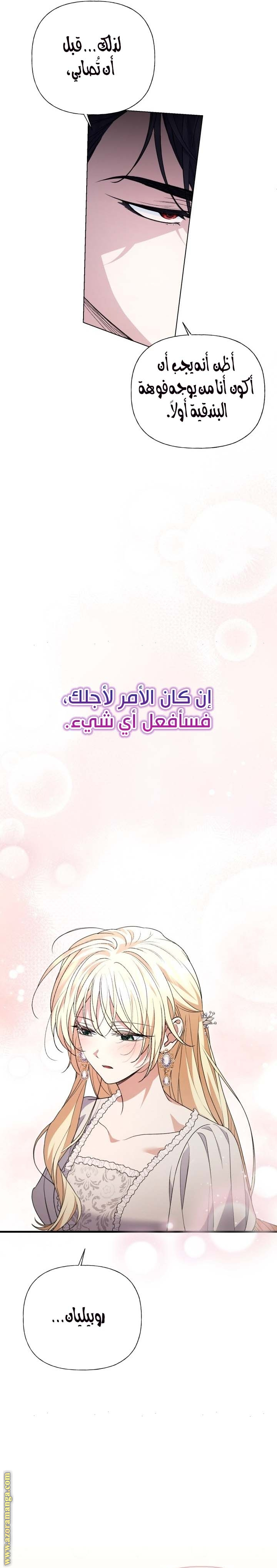 الصفحة 26
