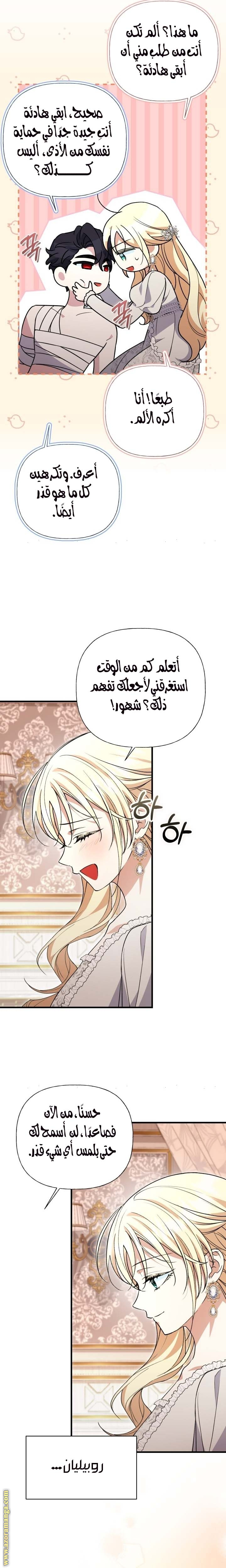 الصفحة 27
