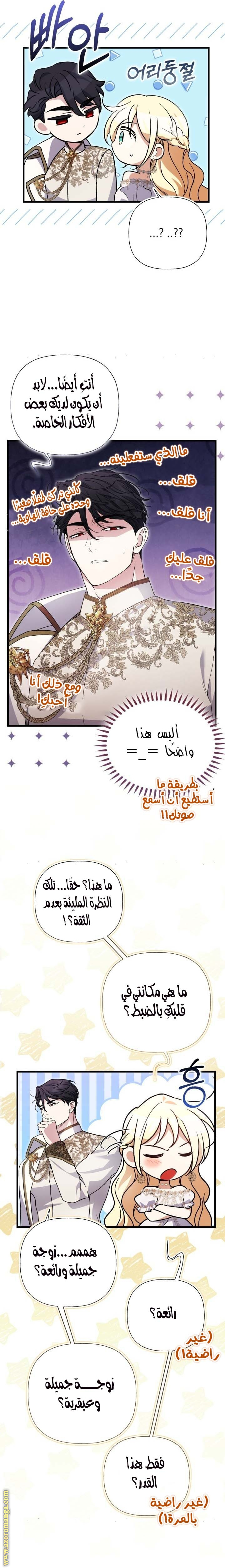الصفحة 21