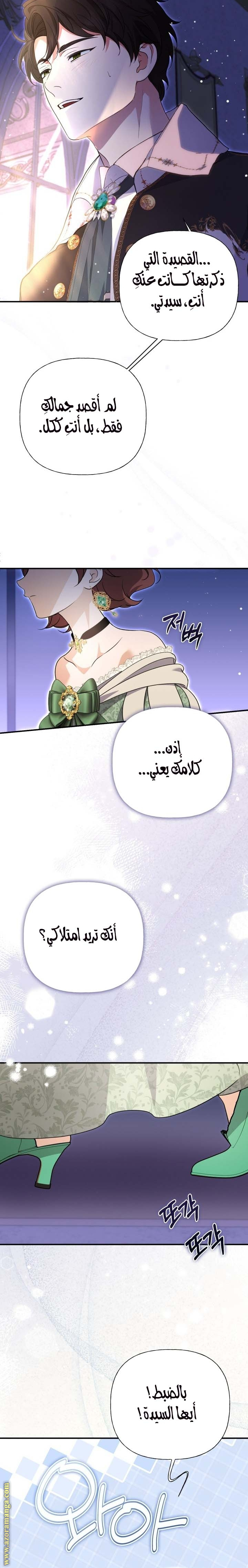 الصفحة 17